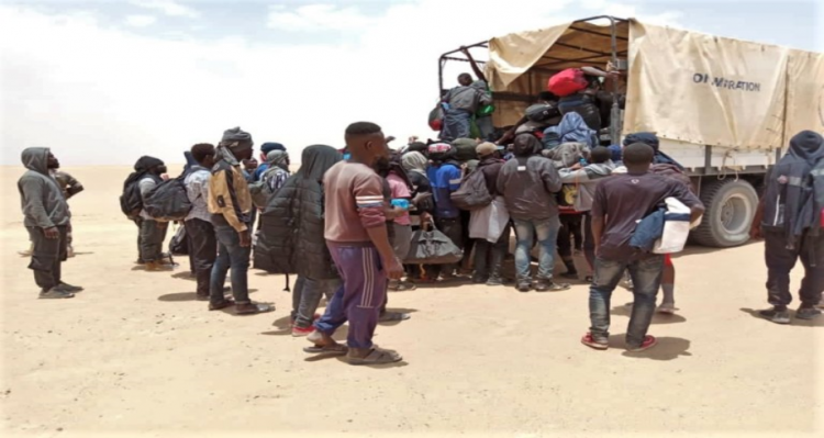 Plus de 1.200 migrants expulsés par l'Algérie vers le Niger, selon l'OIM Plus de 1.200 migrants expulsés par l'Algérie vers le Niger, selon l'OIM