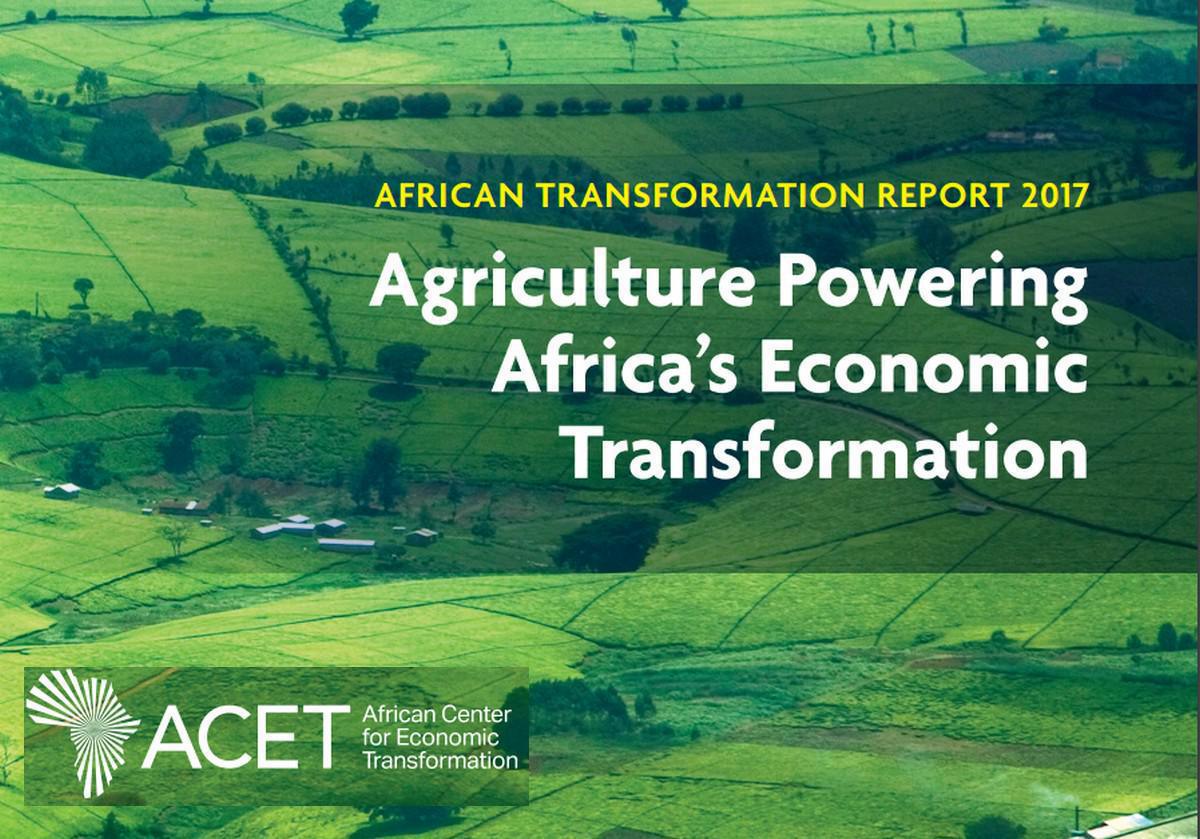 ACET : Le Maroc devrait-il abandonner la culture du blé ? ACET : Le Maroc devrait-il abandonner la culture du blé ?