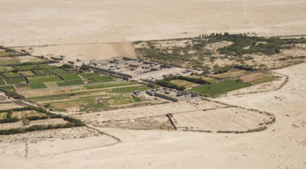 AGRICULTURE
