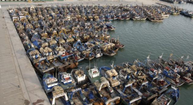PÊCHE MARITIME