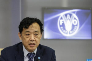 Léger repli des prix des produits alimentaires, à l’exception du blé Léger repli des prix des produits alimentaires, à l’exception du blé