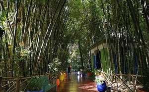 L’Université Cadi Ayyad et la Fondation Jardin Majorelle renforcent leur collaboration scientifique