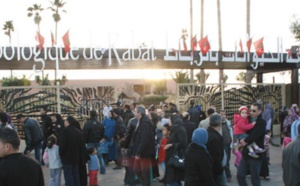 Depuis son ouverture en 2012, le Jardin zoologique national de Rabat a accueilli plus de 3,5 millions de visiteurs