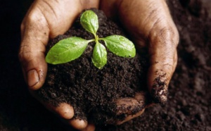 Bulletin de l'écologie de l'Afrique du 09/02/2018