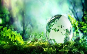 Bulletin de l'écologie de l'Afrique du 16/02/2018