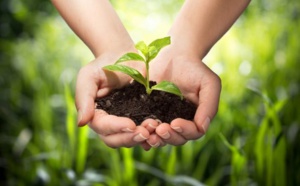 Bulletin de l’écologie de l’Asie-Océanie du 31/05/2018