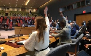 Belle claque reçue par les terro-polisariens, les dirigeants algériens et sud -africains au Conseil de Sécurité de l'ONU