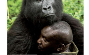 Le soigneur et le gorille