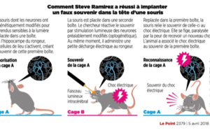 Créer de faux souvenirs