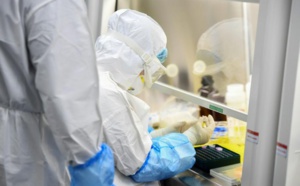 Coronavirus : trouver l'animal coupable, un jeu du chat et de la souris