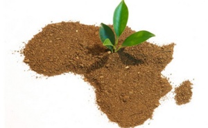 Bulletin de l'écologie de l'Afrique