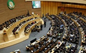 UA : Le Maroc met en exergue le rôle de la diaspora africaine dans le processus de développement en Afrique