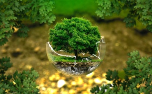 Bulletin écologique du Maghreb