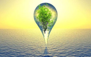 Bulletin écologique du Maghreb