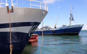 With Dakhla Atlantic Mega Project, Morocco Wants To Foster Its Role as Continental and International Economic Crossroads (Jeune Afrique)