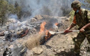Incendies en Algérie: un phénomène aggravé par le manque d'anticipation