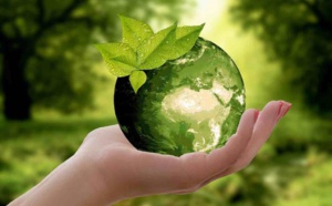 Bulletin écologique du Maghreb du 11/09/2021