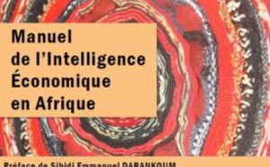  MANUEL DE L'INTELLIGENCE ÉCONOMIQUE EN AFRIQUE