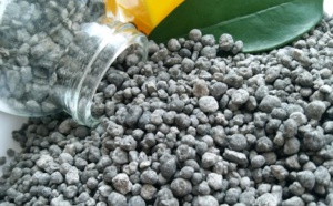 Phosphates. L’UE va-t-elle désavantager le Maroc pour se laisser dominer par la Russie ?