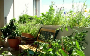 Jardins de balcons: cultiver des plantes...et des esprits