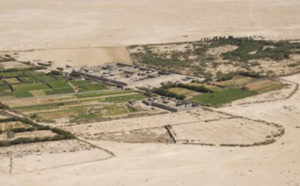 AGRICULTURE