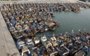PÊCHE MARITIME