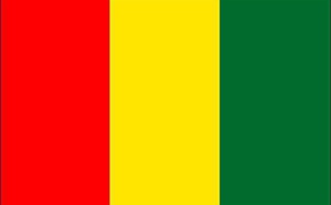 Le plan d'autonomie au Sahara a le mérite de "transcender les positions traditionnelles divergentes", selon la Guinée