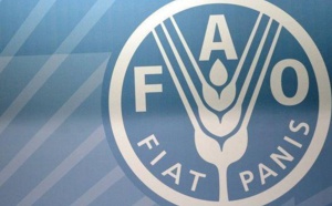 FAO : Quelque 11 millions de personnes touchées par l'insécurité alimentaire au Sahel