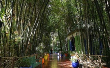 L’Université Cadi Ayyad et la Fondation Jardin Majorelle renforcent leur collaboration scientifique L’Université Cadi Ayyad et la Fondation Jardin Majorelle renforcent leur collaboration scientifique