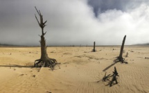 Afrique du Sud: Le Cap frappé par une grave sécheresse, des restrictions drastiques imposées Afrique du Sud: Le Cap frappé par une grave sécheresse, des restrictions drastiques imposées