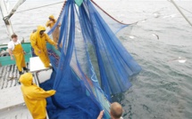 La légalité de l’accord de pêche Maroc-UE devant la juridiction européenne