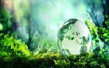 Bulletin de l’écologie de l’Asie-Océanie