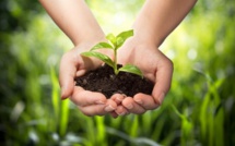 Bulletin de l’écologie de l’Asie-Océanie du 29/05/2018
