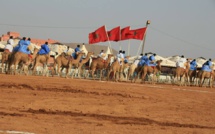 Guelmim au rythme de la 8ème édition du festival de la semaine du dromadaire du 22 au 28 courant Guelmim au rythme de la 8ème édition du festival de la semaine du dromadaire du 22 au 28 courant