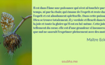 Il est dans l’âme