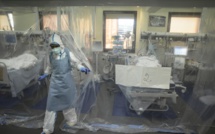 Des experts en pleine lumière pour décrypter la pandémie Des experts en pleine lumière pour décrypter la pandémie