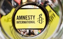 Une nouvelle fois Amnesty International épinglé pour diffusion de fausses informations Une nouvelle fois Amnesty International épinglé pour diffusion de fausses informations