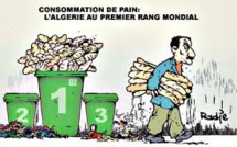 Totale déroute du régime algérien et de ses Généraux