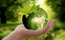Bulletin écologique du Maghreb du 11/09/2021