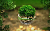Bulletin de l'écologie de l'Afrique du 13/09/2021