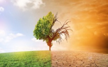 Climat: D'ici 2050, le nombre de déplacés internes pourrait atteindre 216 millions (Banque mondiale)