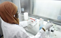 L'Afrique enregistre plus de 8,33 millions de cas de COVID-19, selon le CDC Afrique L'Afrique enregistre plus de 8,33 millions de cas de COVID-19, selon le CDC Afrique