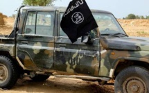 Nigeria : l'armée annonce la mort du chef local de l'EI Nigeria : l'armée annonce la mort du chef local de l'EI