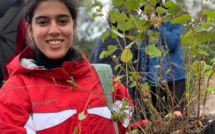 Tunisie : Plus de 9000 arbres ont été plantés dimanche dernier Tunisie : Plus de 9000 arbres ont été plantés dimanche dernier