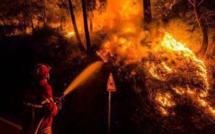 Experts: Le changement climatique aggravera la fréquence des incendies de forêts Experts: Le changement climatique aggravera la fréquence des incendies de forêts