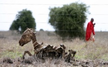 Covid a fait de l'Afrique le continent le plus triste Covid a fait de l'Afrique le continent le plus triste