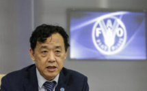 Léger repli des prix des produits alimentaires, à l’exception du blé Léger repli des prix des produits alimentaires, à l’exception du blé